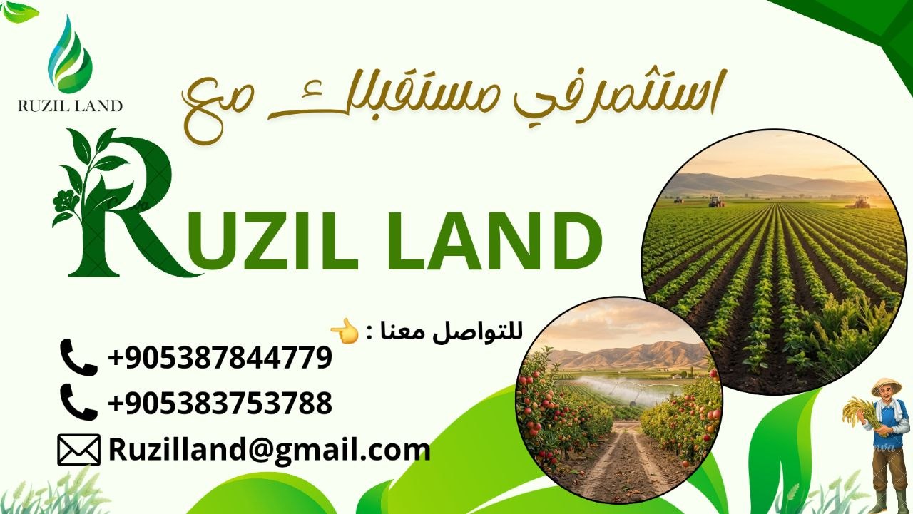 شركة RUZIL LAND